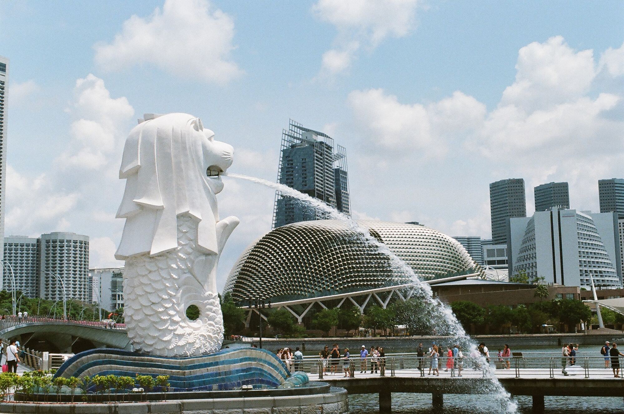 Everything You Need to Know About Singapore PR Application