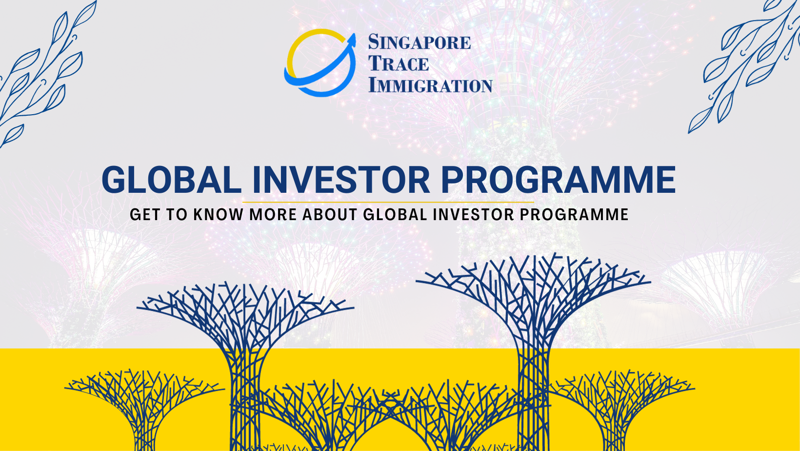 Global Investor Programme (GIP)